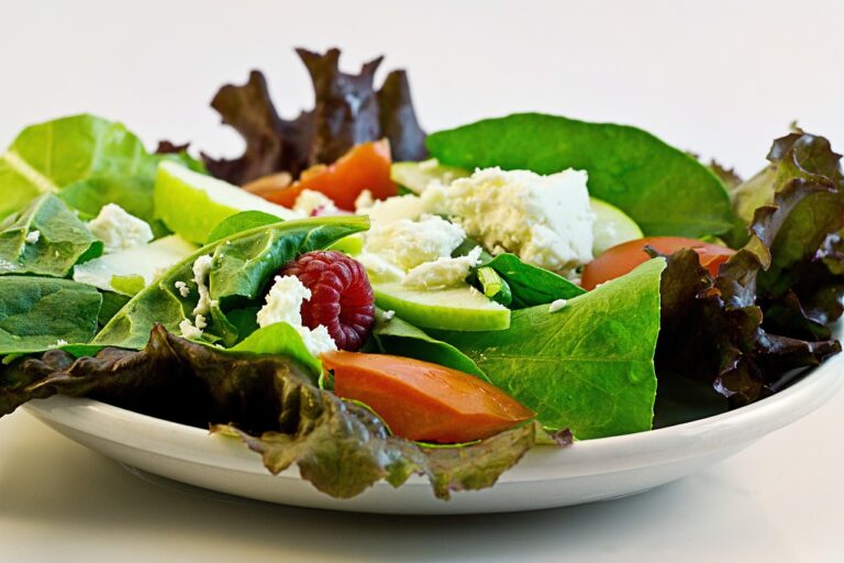 salad, fresh, food-374173.jpg